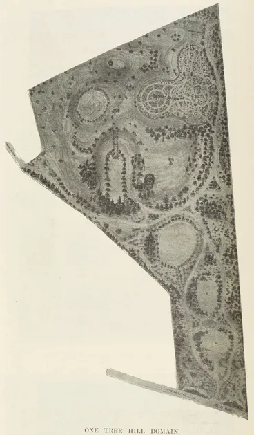 Image: One Tree Hill Domain