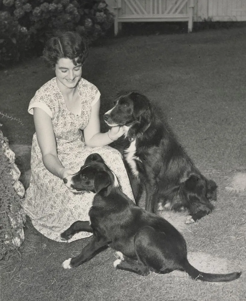 Woman and two dogs