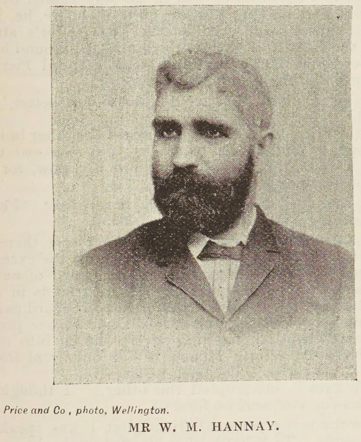 Mr W. M. Hannay