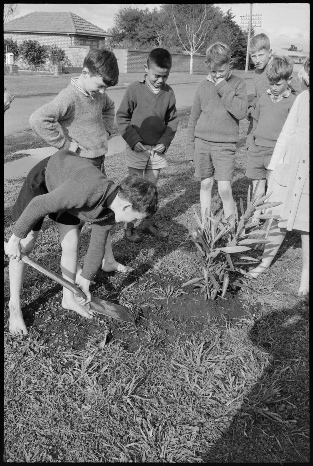 Children planting during Arbor Day Ceremony at Pillans Point School