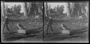 Image: Dog, sitting in a box, and a young boy, Catlins, Otago