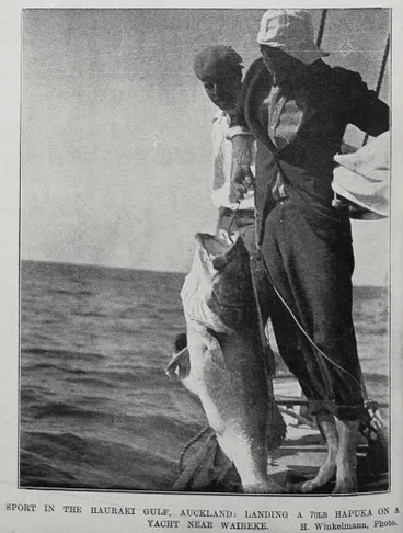 Image: Sport in the Hauraki Gulf, Auckland landing a 70LB Hapuka on a yacht near Waiheke