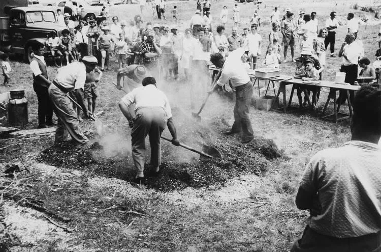 Christmas hangi, Kawakawa Bay, 1965