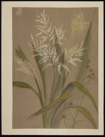 Image: Harris, Emily Cumming, 1837-1925: Cordyline Banksii. [1880s or 1890s]