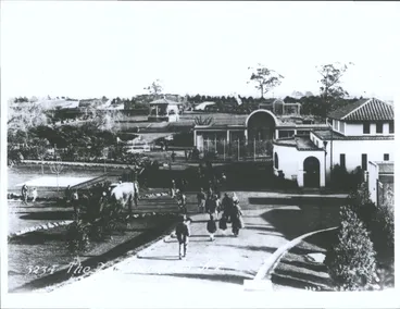 Image: The Auckland Zoo