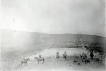 Sheep yards at 'Huangarua' : digital image