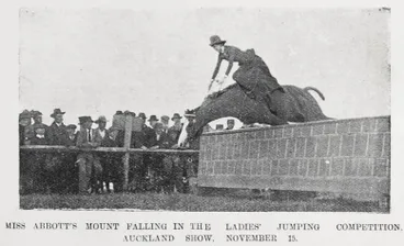 Image: Exhibits at the Auckland Agricultural Show, Alexandra Park, November 15 and 16, 1901
