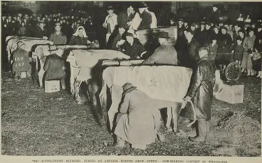 Image: The acting-Prime Minister judges an amusing winter show event: cow-milking contest in Whangarei