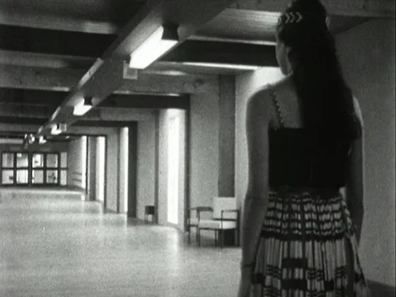 This Country - New Zealand