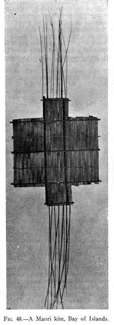 Fig. 48.—A Maori kite, Bay of Islands