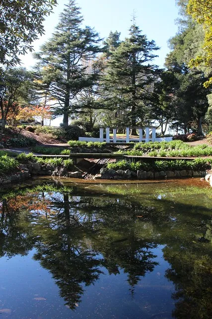 Howie Park, Morrinsville, New Zealand.