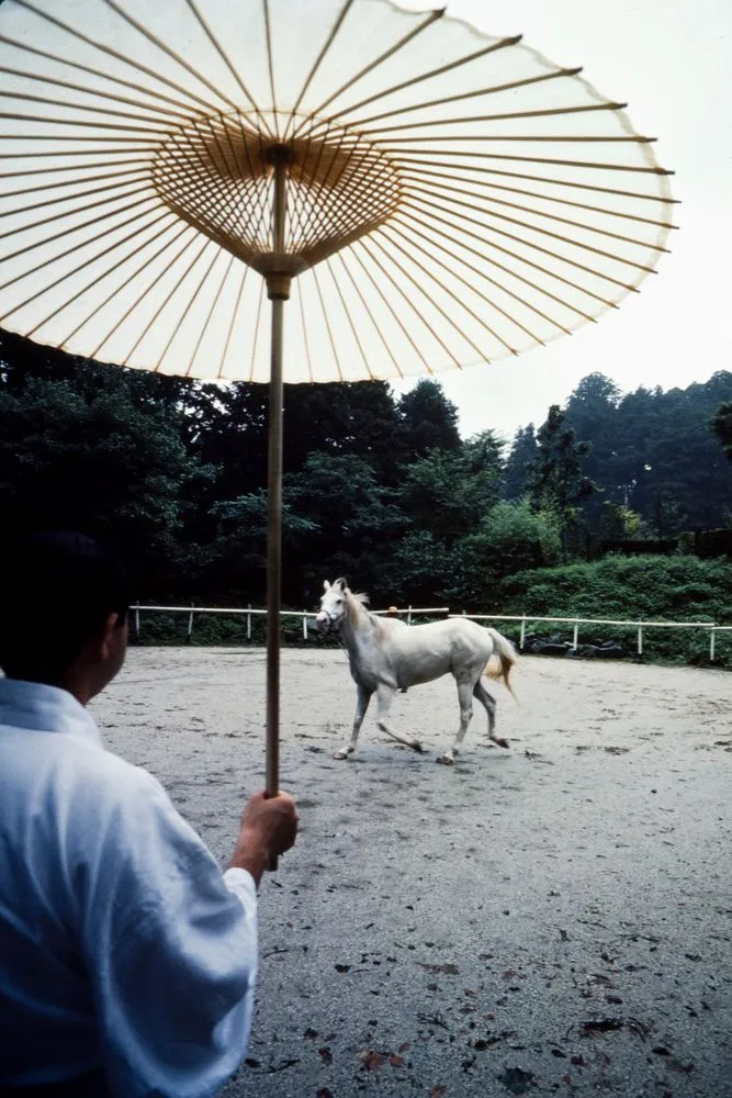 Japan Series: Horse
