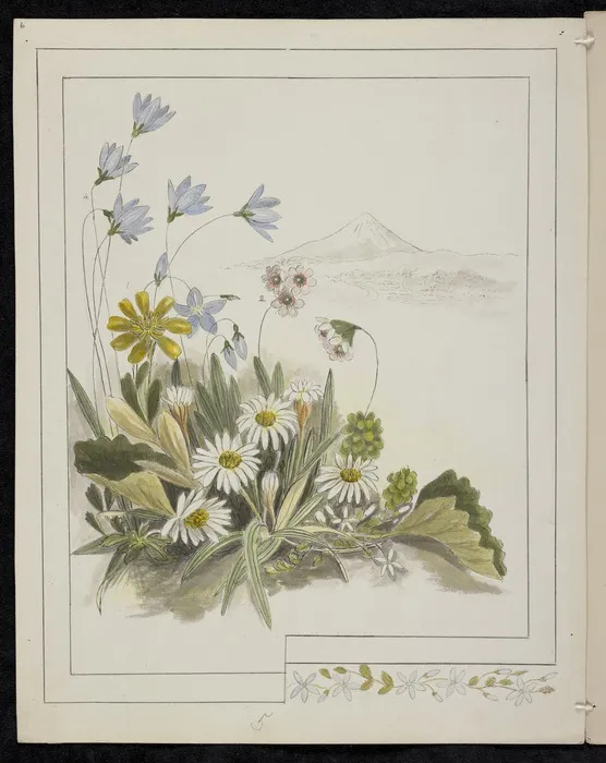 Harris, Emily Cumming, 1837-1925: Flowers from Mount Egmont. 1. Ranunculus pinguis. 2. Fostera [sic] tenella. 3. Celmisia longifolia. 4. Wahlenbergia gracilis. 5. Lobelia. [189-?].