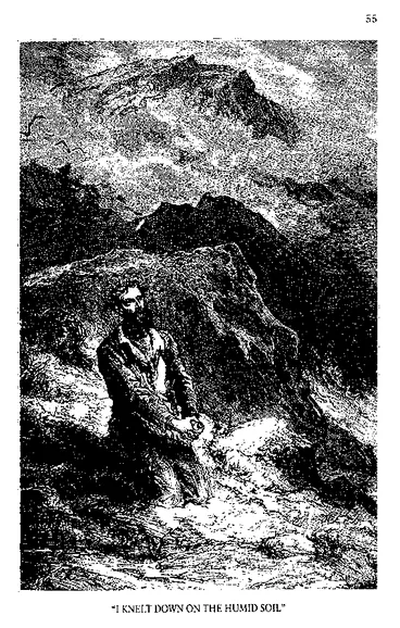 Image: "I Knelt Down on the Humid Soil"