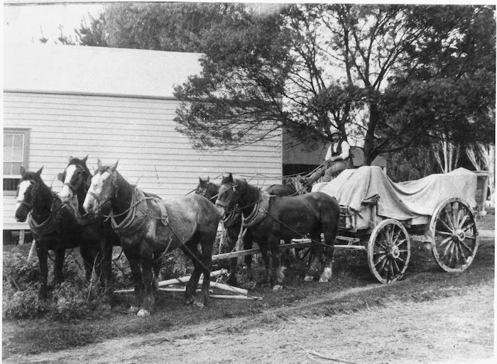 Paddy Donovan, Te Puke
