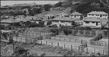 Image: Saleyards, and state houses, Johsonville, Wellington