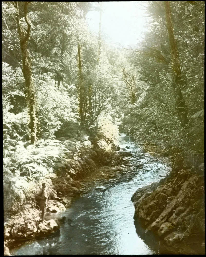 Mangatāwhiri Stream