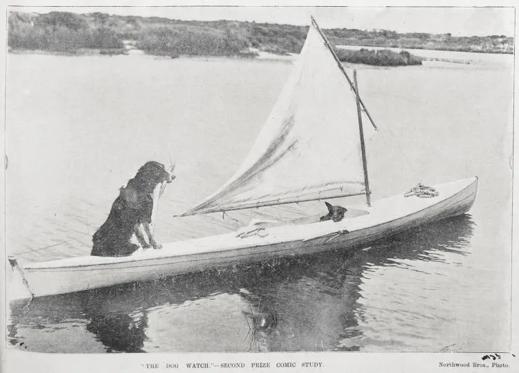 'The dog watch'-second prize comic study