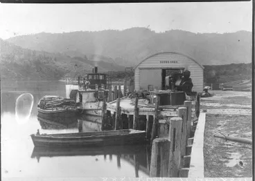 Image: Paddle steamer Delta on the Waikato River, Ngāruawāhia, 1888