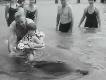 Image: Pictorial Parade No. 47