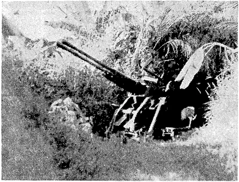 Australian troops, entering the site where Rabaul town once stood, found this twin-barrelled gun among the Japanese defences. Mounted on rails, , the gun could be pushed into the cave behind when not in use. (Evening Post, 06 October 1945)