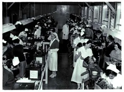 Mt Eden Dental Centre