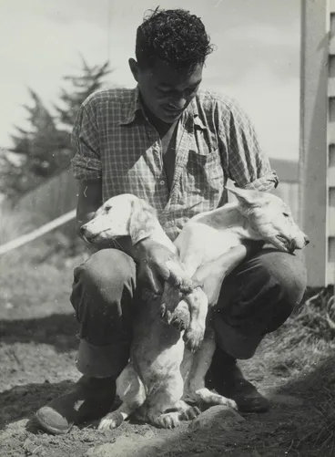 Image: Boy Wikaira and his dogs, Waimamaku