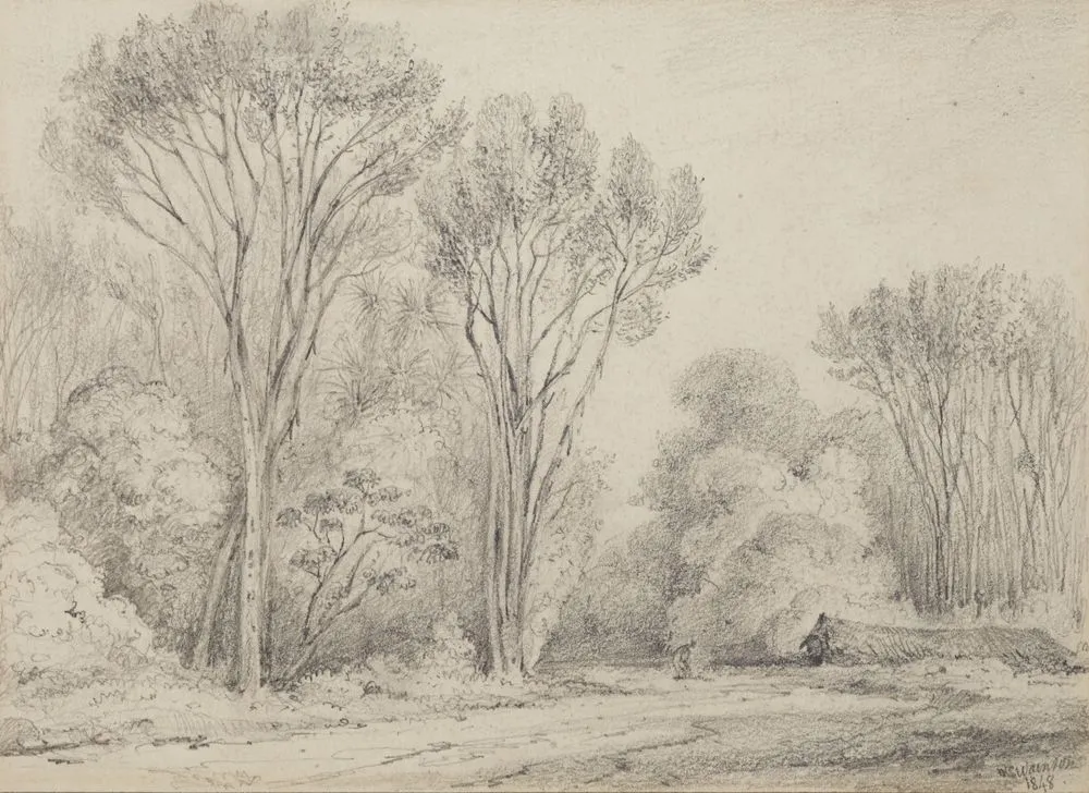 Manuka Grove on Taine's Section, Upper Hutt