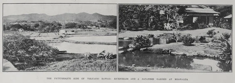 The Picturesque Side Of Volcanic Hawaii