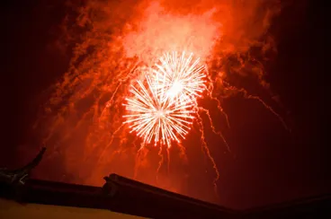 Image: 2014 Chinese New Year Celebrations