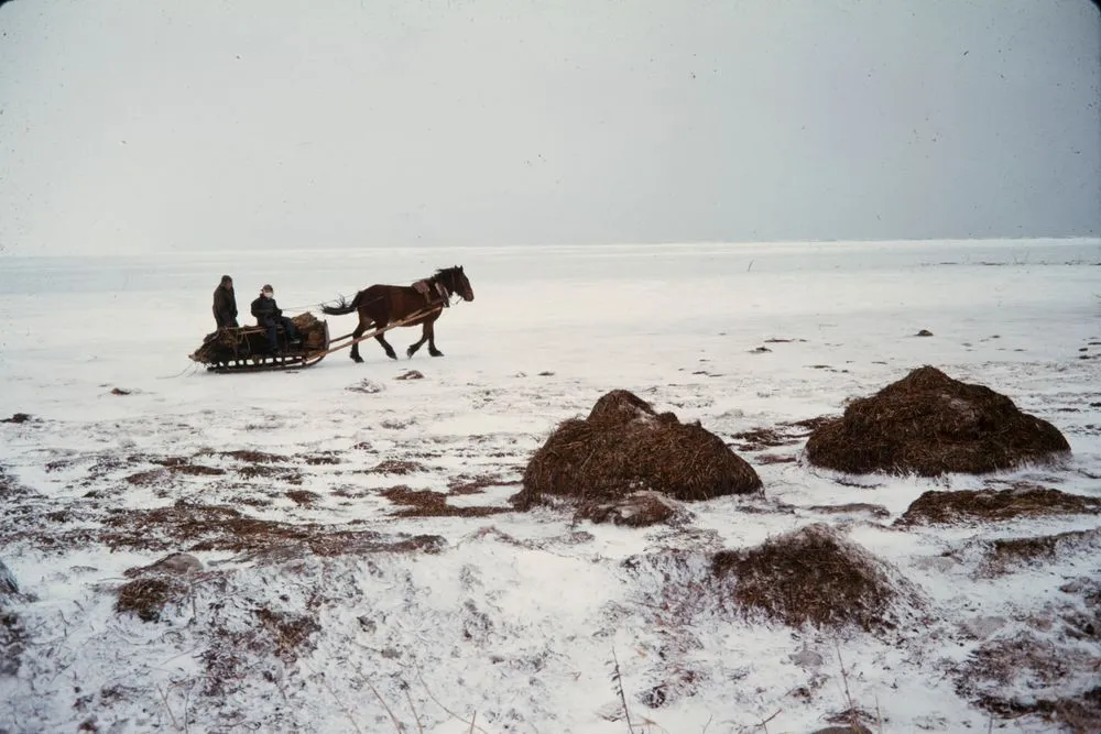 Japan Series: Hokkaido