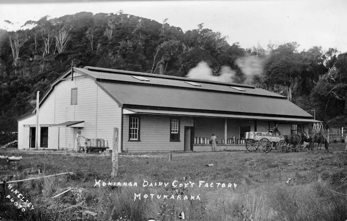 Hokianga Dairy Company's factory, Motukaraka
