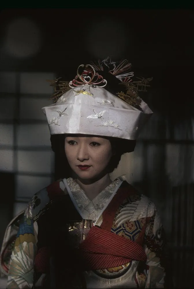 Japan Series: Movie Industries