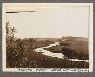 Image: Waiwetu Stream Lower Hutt Near Cemetery'