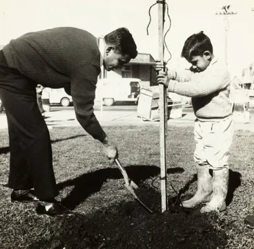 Planting trees, Ōtāhuhu, 1966 Image: Planting trees, Ōtāhuhu, 1966