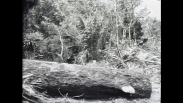 Image: PERSONAL RECORD. LOVATT, CR. [TROOPSHIP, SOLDIERS MARCHING IN STREET & WAIMATE NORTH CENTENNIAL CELEBRATIONS]
