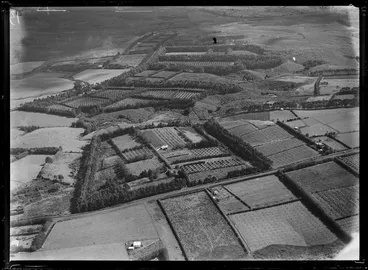 Image: Agricultural area, Kerikeri, Bay of Islands, Northland