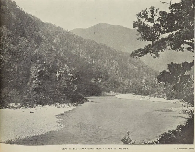 View of the Buller Gorge, near Blackwater, Westland