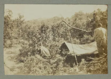 Image: [Scene at Gallipoli]