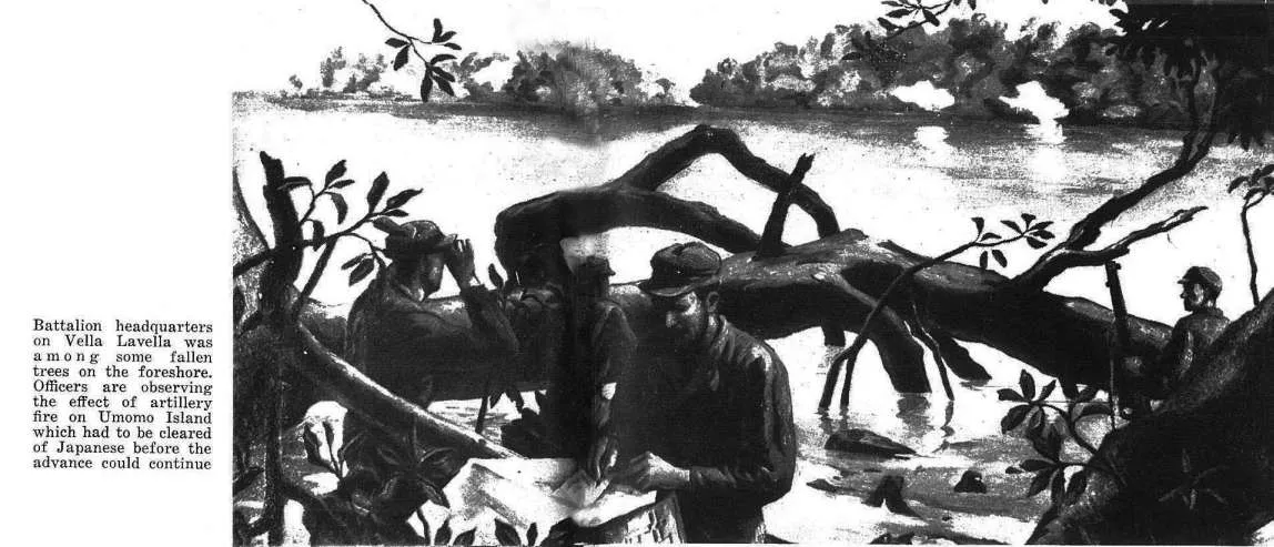 Battalion headquarters on Vella Lavella was among some fallen trees on the foreshore. Officers are observing the effect of artillery fire on Umomo Island which had to be cleared of Japanese before the advance could continue