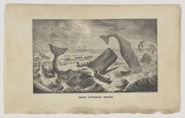 Image: Linton, William James 1812-1898 :Boats attacking whales. [183-].