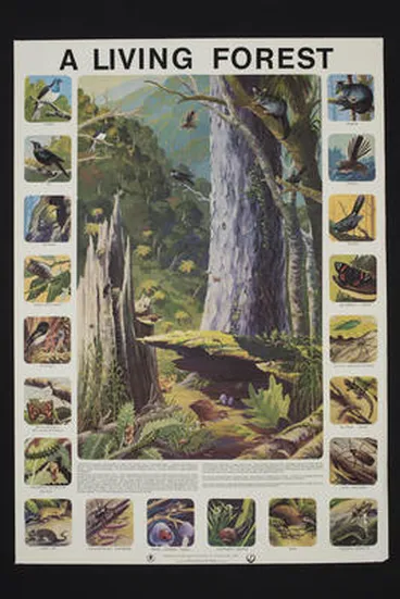 Image: A living forest