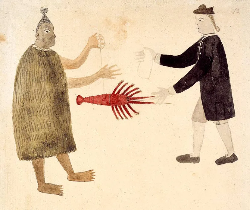 Tupaia's painting of Joseph Banks