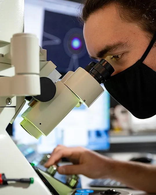 What is a virus and how does it work?