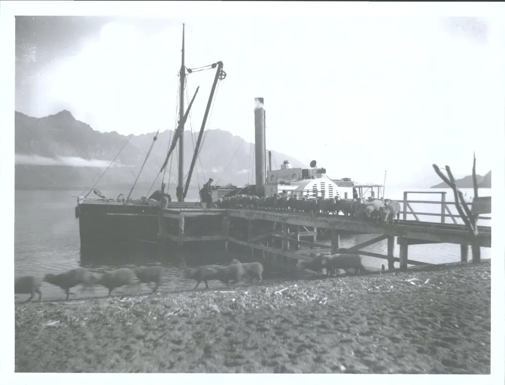 "Antrim" discharging sheep beside Lake Wakatipu