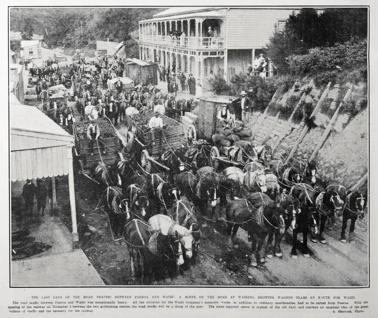 THE LAST DAYS OF THE ROAD TRAFFIC BETWEEN PAEROA AND WAIHI: A SCENE ON THE ROAD AT WAIKINO, SHOWING WAGGON TEAMS EN ROUTE FOR WAIHI