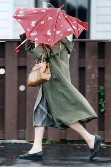 Wellington’s winds Image: Wellington’s winds