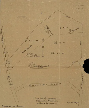 Image: Lot 60 Waitemata Otahuhu district Govt. Reserve