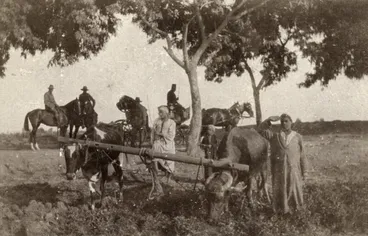 Image: Sinai & Palestine