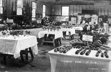 Produce and floral exhibition at Masterton Show : digital image